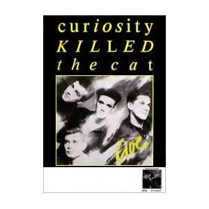  CURIOSITY KILLED THE CAT Live 1987 Music Poster