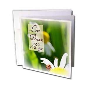  Flowers   Love Dream Hope Ladybug on a Daisy Inspirational Quotes 