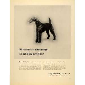  1939 Ad Young Rubicam Merry Sovereign Airedale Dog Show 