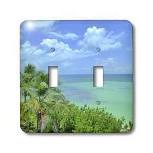     Down At Florida Keys   Light Switch Covers   double toggle switch