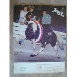   Spotted Saddle Horse News Magazine   Nov/Dec 1991 Bob Scruggs Books