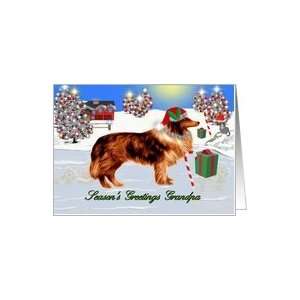  Seasons Greetings ~ Grandpa ~ Christmas Scene / Collie in 