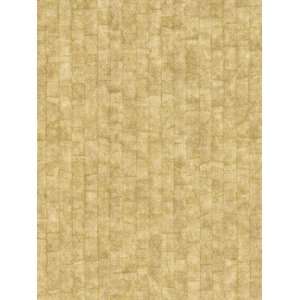   Patton Wallcovering Chronos Ironwood 8992963