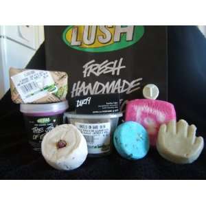  Lush Fresh Handmade Cosmetics (Set of 9 Items) Everything 
