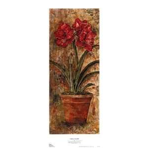  Liberty Amaryllis   Poster by Judy Shelby (14x35)