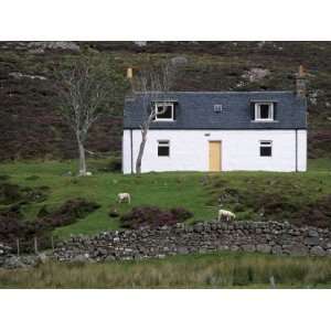 Small House and Sheep, Wester Ross, Highland Region, Scotland, United 