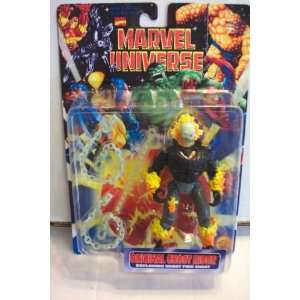  Marvel Universe Ghost Rider Toys & Games