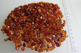 baltic coast i sell genuine authentic real natural baltic amber