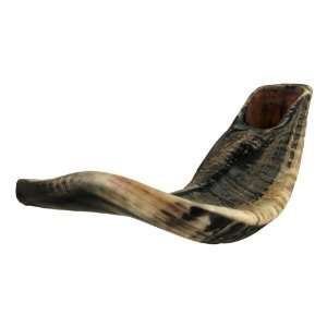   Black Rams Horn Natural Shofar Made in Israel Musical Instruments