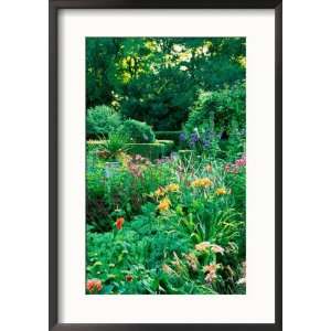  Large Cottage Style Garden, with Colourful Herbaceous 