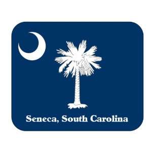  US State Flag   Seneca, South Carolina, South Carolina (SC 