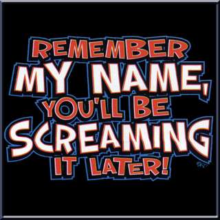 Remember My Name & Scream It Later Shirt S 2X,3X,4X,5X  