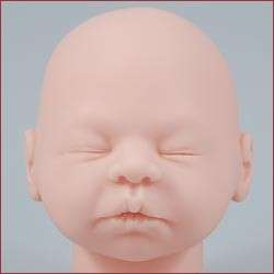 Reborn Full Size Doll Starter Kit Lot Create a Reborn Baby Inc kit 