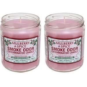  Mulberry & Spice   13oz Smoke Odor Exterminator Candle (2 