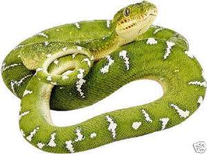 Streichholzschachteln Schlangen Schlange Zündhölzer  