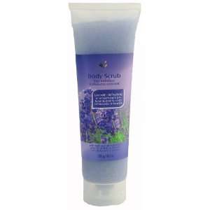   Lavender Refreshing Body Scrub with Sea Salt (Pack of 12pcs) Beauty