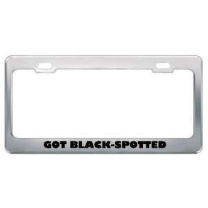  Got Black Spotted Cuscus? Animals Pets Metal License Plate 