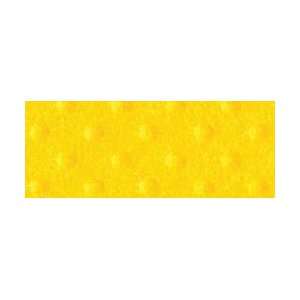   Scoops Sandable Cardstock 12X12 Lemon Custard Arts, Crafts & Sewing