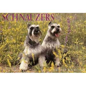   Book of 21 Different Postcards   Schnauzers