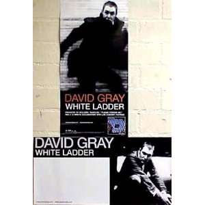  DAVID GRAY White Ladder 12x24 Poster 