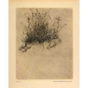  1924 Print Hermann Gradl Turf Sod Grass Pencil Drawing 