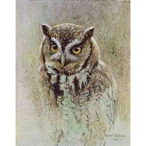  Robert Bateman   Screech Owl Study