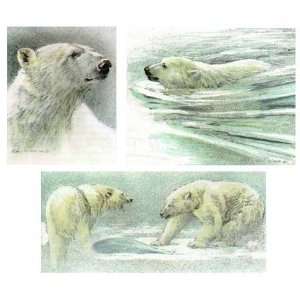  Robert Bateman   Polar Bear Set Predator Portfolio