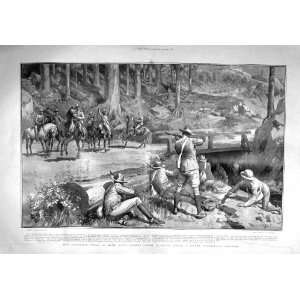   1902 Australian Soldiers Africa War Bayley Wollongong