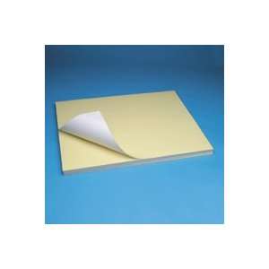  Dietzgen Diazo/Blueline Ultra Speed Paper, 36 x 48 (250 