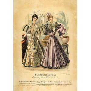  1895 Victorian Lady Dress Fashion Costume Lithograph 