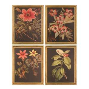 Import Collection Brittany Wall Art, 4 Styles 