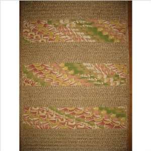   Shine Coral Seaglass / Buff Chenille Wide Stripe Indoor / Outdoor Rug