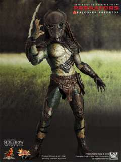This is a Hot Toys Falconer predator 1/6 scale figure,he is brand new 
