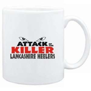    ATTACK OF THE KILLER Lancashire Heelers  Dogs