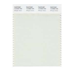   SMART 12 5404X Color Swatch Card, Whisper Green