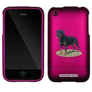 Rottweiller on AT&T iPhone 3G/3GS Case by Coveroo 
