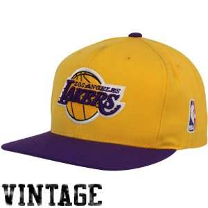  Mitchell & Ness Los Angeles Lakers Gold Purple Two Tone 