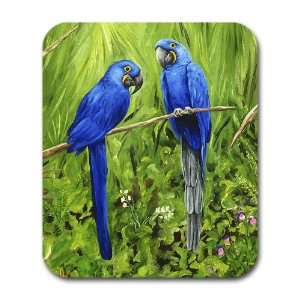  Two Hyacinth Macaws Bird Parrot Art Mouse Pad Everything 