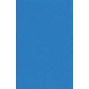  130lb Card Stock   11 x 17   Bulk   So Silk Fair Blue (200 
