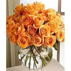 Send Fresh Cut Flowers   25 Long Stem Orange Roses with Vase Included 