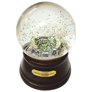  Lincoln Financial Field Musical Water Globe with Wood Base 