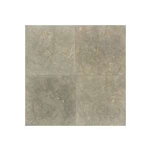  Limestone Polished Caspian Shellstone 12in x12in