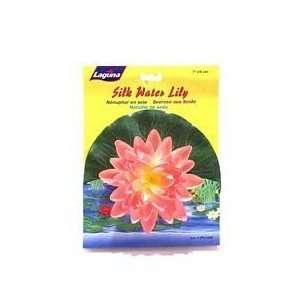  Laguna Water Lily with Foam   Pink   7