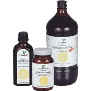  Kombucha Tea Liquid 10 oz. 10 Ounces Health & Personal 