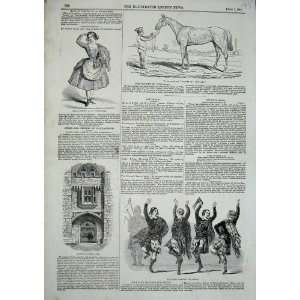   1844 Highland Dancers Pipers Knole Park Horse Princess