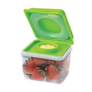  Fit & Fresh Fresh Starts Little Dipper Snack Container 