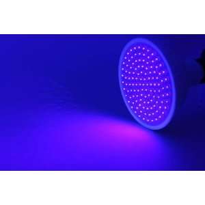  120 LED Ultraviolet Floodlight L 120FUV