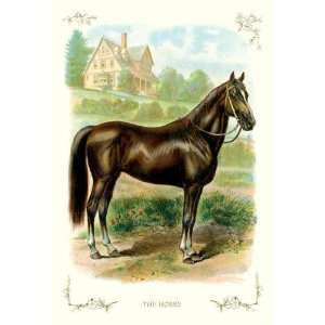  Exclusive By Buyenlarge The Horse 24x36 Giclee