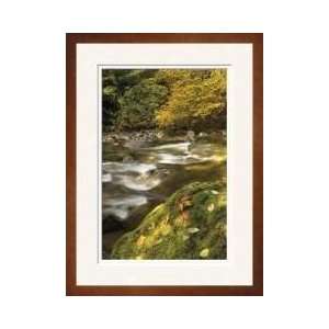 Cascade Mountains Iv Framed Giclee Print 