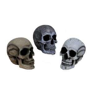  Realistic Skull Toys & Games